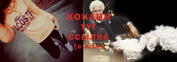 apvp Ельня