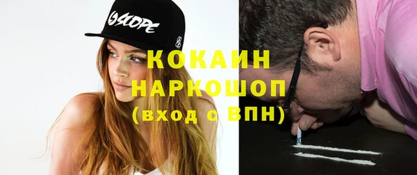 apvp Ельня