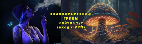 ECSTASY Елизово