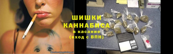 ECSTASY Елизово