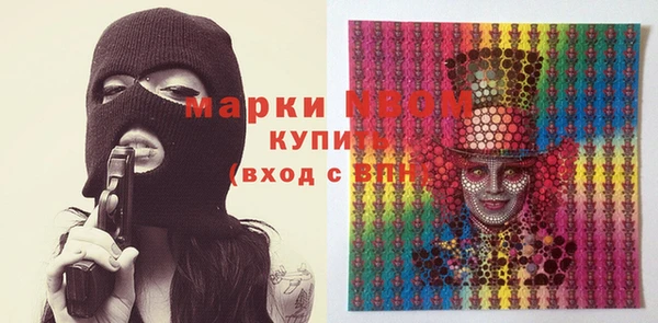apvp Ельня