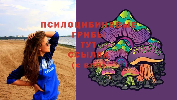 дмт Заводоуковск