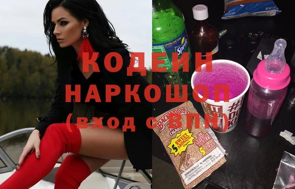 apvp Ельня