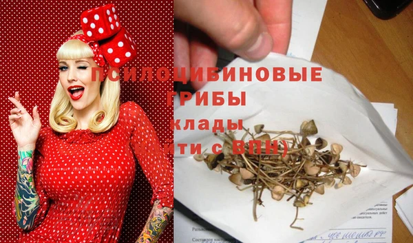 дмт Заводоуковск
