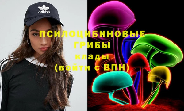 ECSTASY Елизово